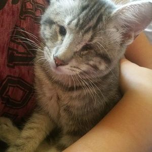 Meet your Posher, Cheryl